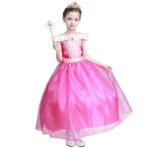 Princess Arora Costume for kids (Sleeping Beauty)