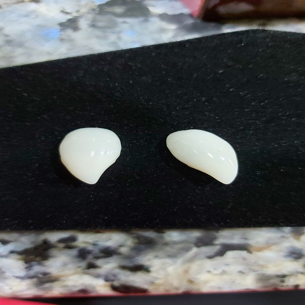 Blood Sucker Vampire Fangs - Image 3
