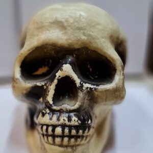 Halloween Skull Antique Look Made from Plastic 