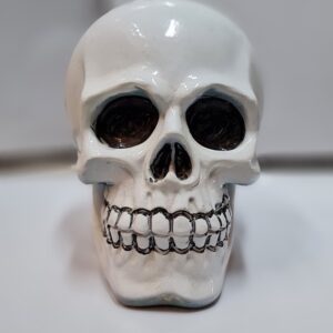 White Fine Polish Skull Black and White for Halloween Decorations