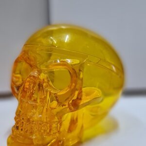 Human transparent Plastic skull Best for Halloween Decorations 