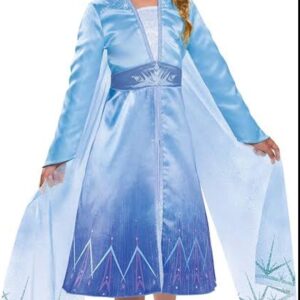 Elsa costume set from the movie Frozen 2