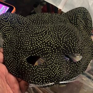 Cat Mask Plastic