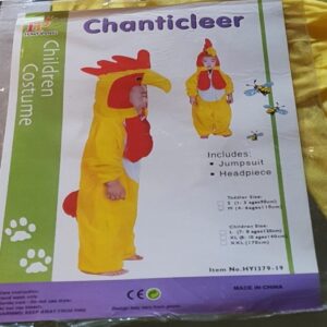 Hen Costume for kids.