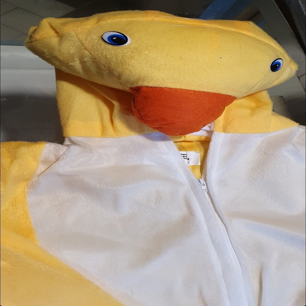 Small Duck Costume for kids - Image 4