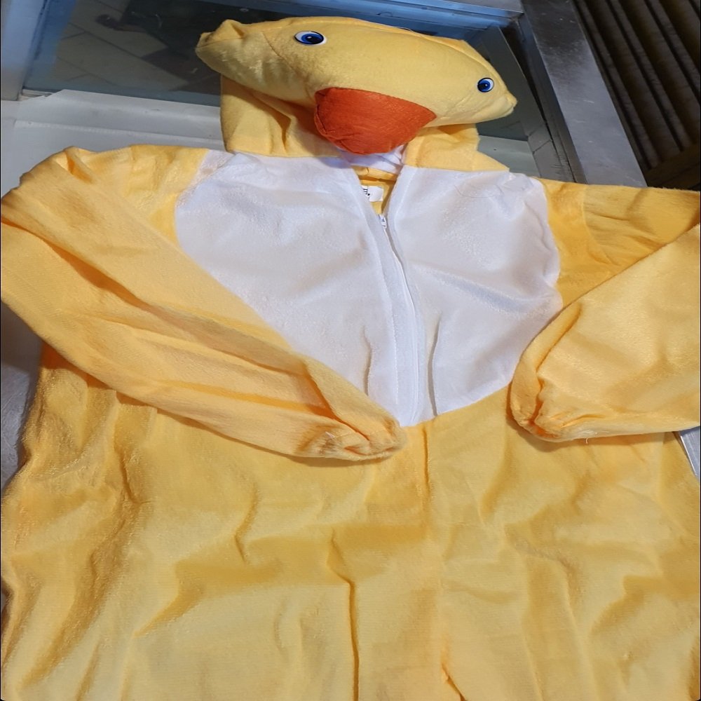 Small Duck Costume for kids - Image 5