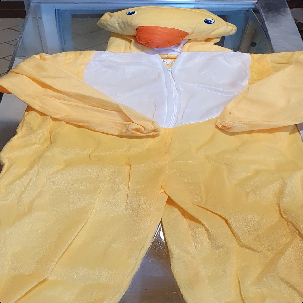 Small Duck Costume for kids - Image 6