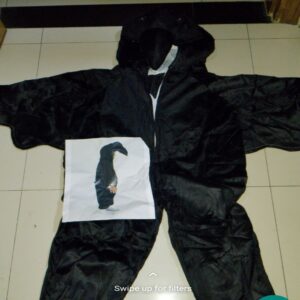 Crow Costume for kids