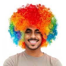 Clown Wig Adult size Multicolor