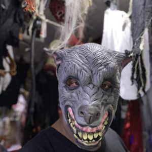 Nasty wolf mask made by rubber best for Halloween parties.