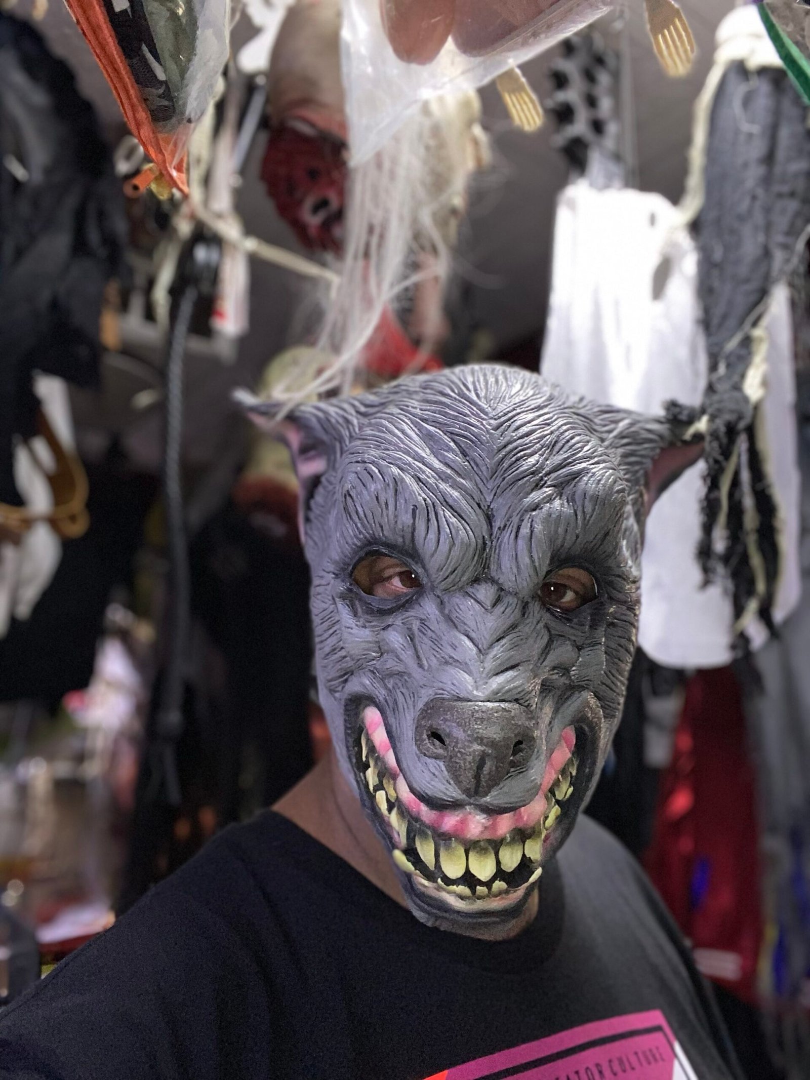Nasty wolf mask