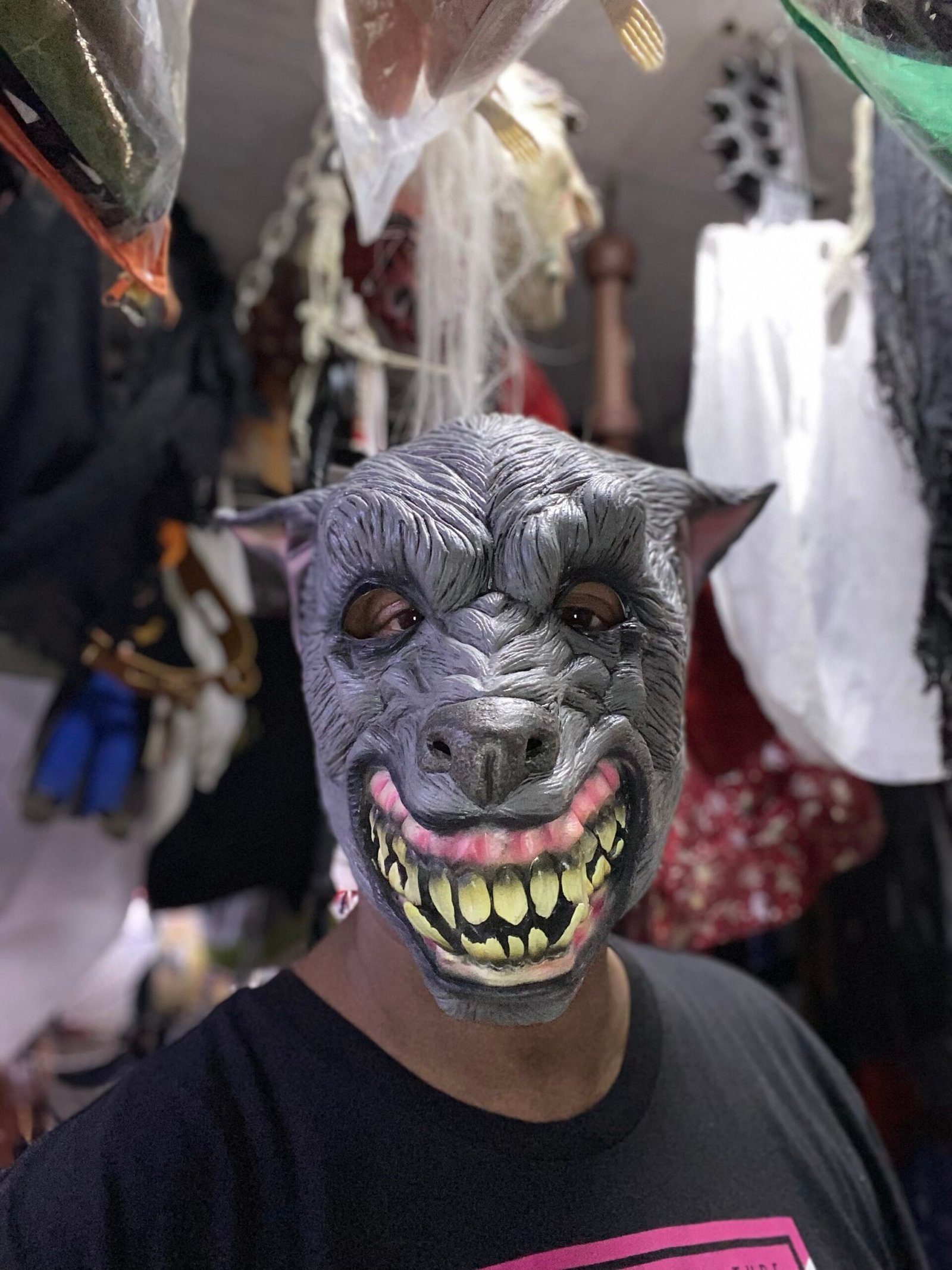 Nasty wolf mask - Image 4