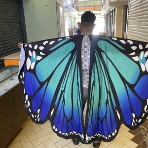 Adult Butterfly wings full size